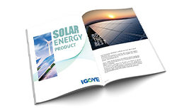 igoye catalog